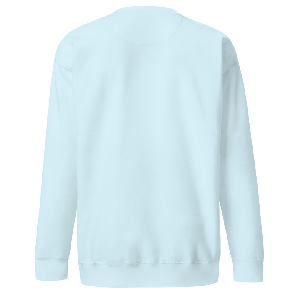 Light blue sweatshirt on a white background